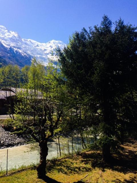 Studio Lumineux Avec Vue Sur Le Massif Du Mont-Blanc Chamonix Exteriör bild